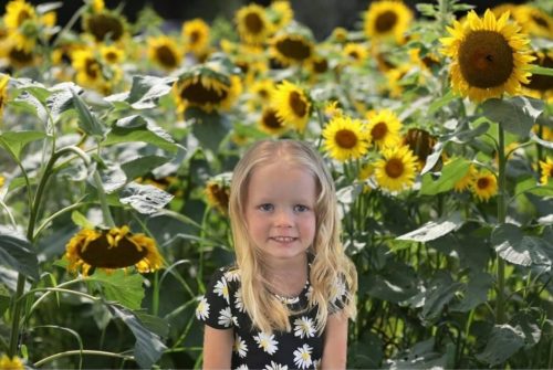 Sunflower Overlays & Backdrops photo review