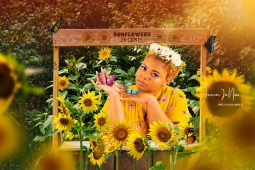 Sunflower Overlays & Backdrops photo review