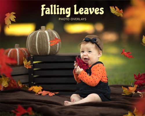 Falling Leaves Cover 8x10