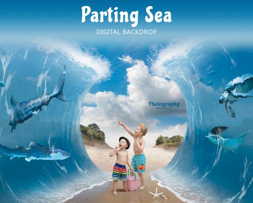 Parting Sea Cover