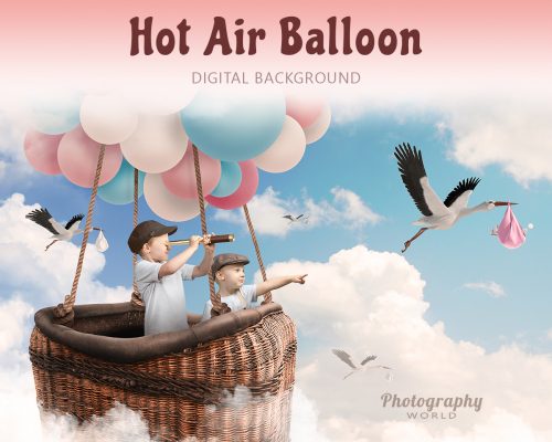 Hot Air Balloon With Storks Cover 8x10bpw