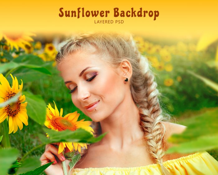 Sunflower Backdrop