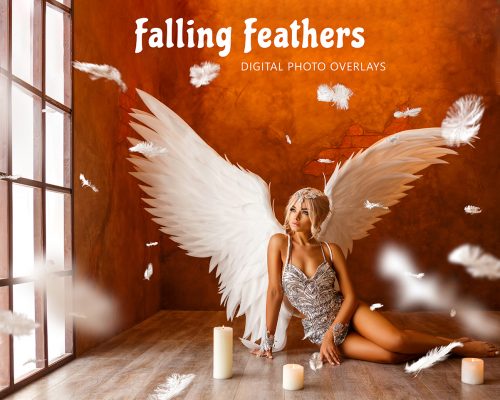 Feather Overlays 8x10