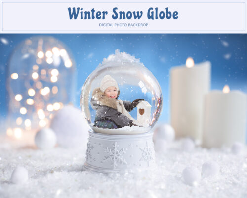 Christmas Snow Globe Winter