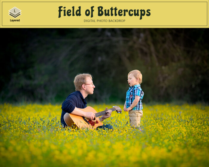 Yellow Buttercups Flower Field